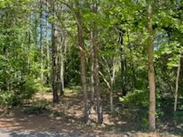 859 Blue Bird Drive, Vass, NC 28394