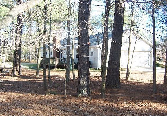 Side and back yard