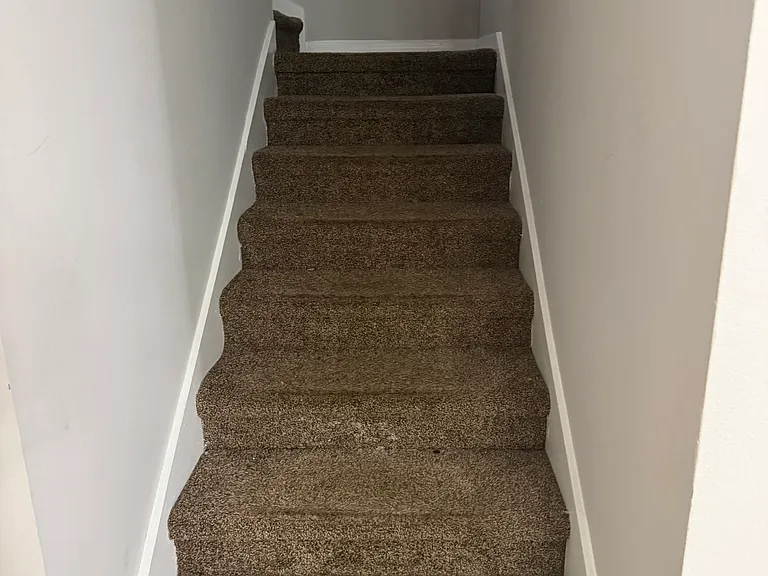 1331 Little Gem Loop — Photo 10