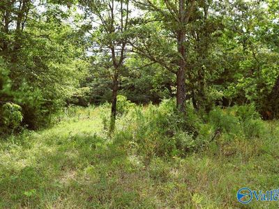 2010 County Road 198, Danville, AL, 35619