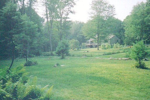 Rear Fields