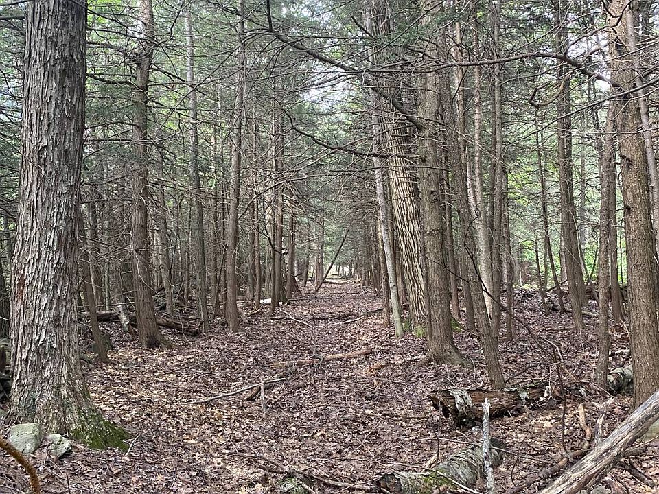 1st image of 40 Bailey Rd