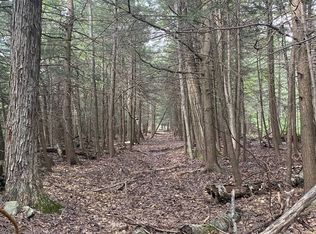 40 Bailey Rd, Jewett, NY 12444