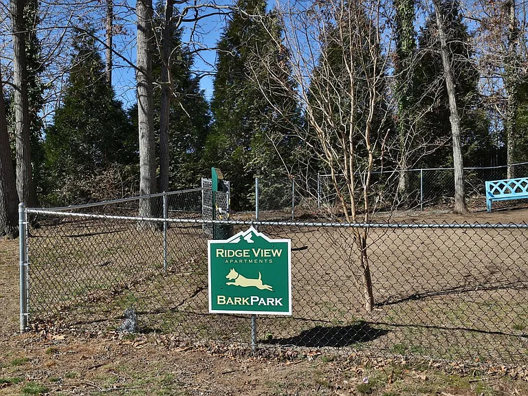 Ridge View Apartments — Photo 15