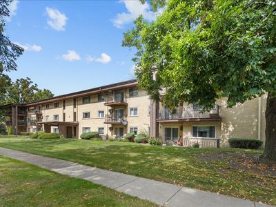 1206 E Fairview St APT 305, Arlington Heights, IL, 60005