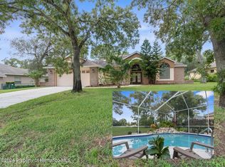 10281 Palmgren Ln, Spring Hill, FL 34608