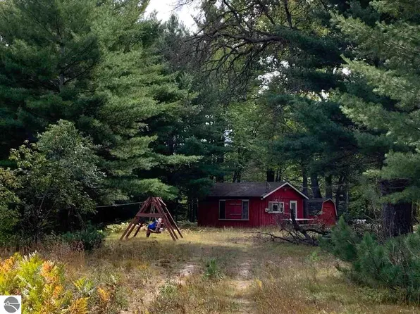 5319 Yellowtrees Rd SE, Grayling, MI 49738