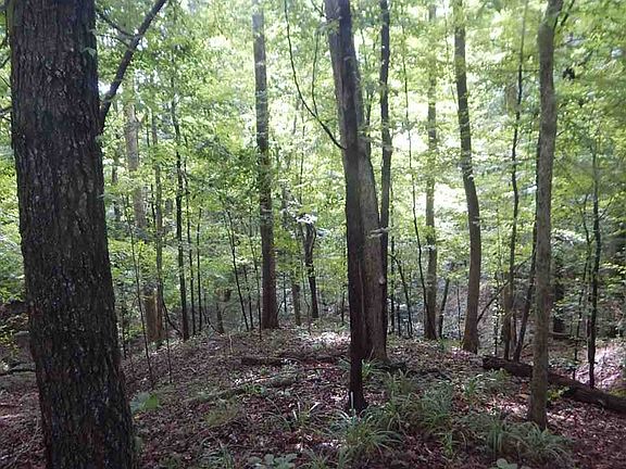4th image of 7008 Old Highway 49