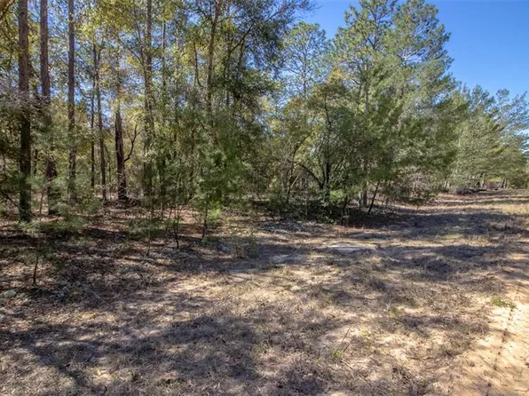 0 Dew Drop Dr #17, Hawthorne, FL 32640