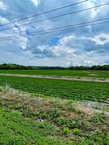 0 Riley Rd, Cordova, SC, 29039