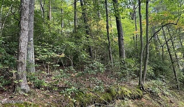 2nd image of 389 Faith Mountain Way