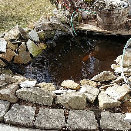 5th image of 3134 E Mackay Dr