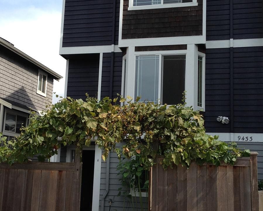 private entrance and patio on quiet alley