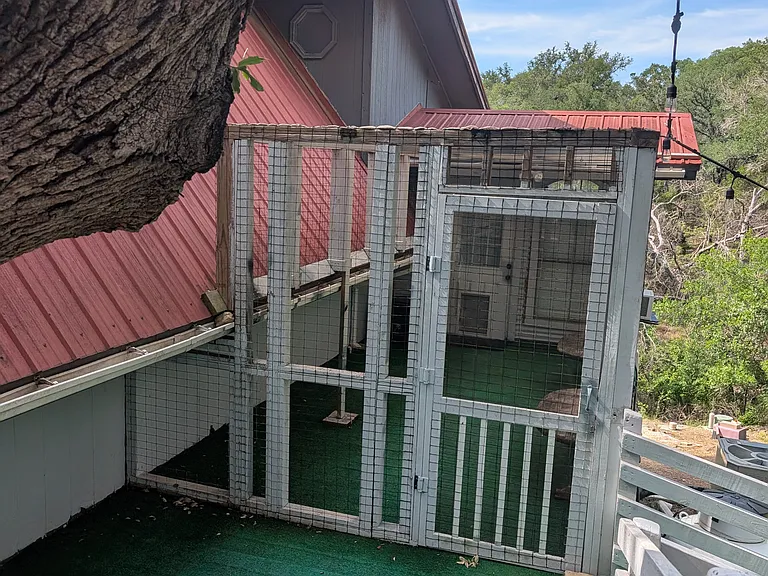 Catio