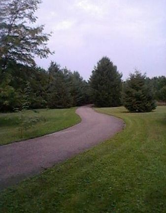 Driveway view north