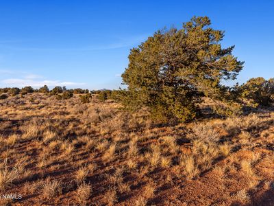 4373 E Cedar Rd, Williams, AZ, 86046