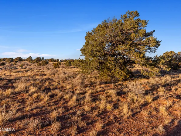 4411 E Cedar Rd, Williams, AZ 86046