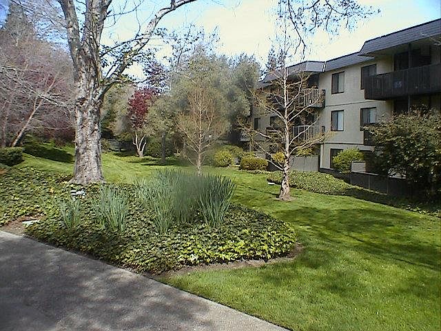1st image of 8143 Shelter Creek Ln