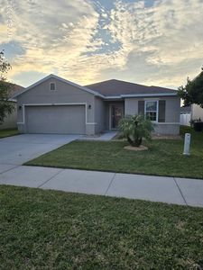 442 Pink Coral Ln, New Smyrna Beach, FL, 32168