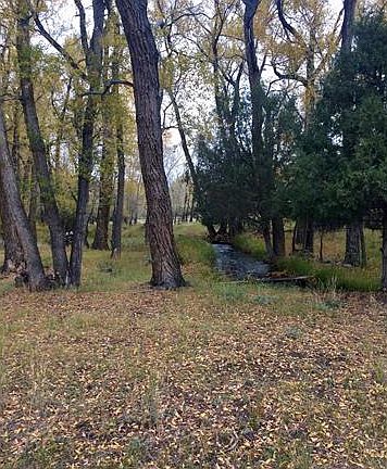 4th image of 15103 County Road 306
