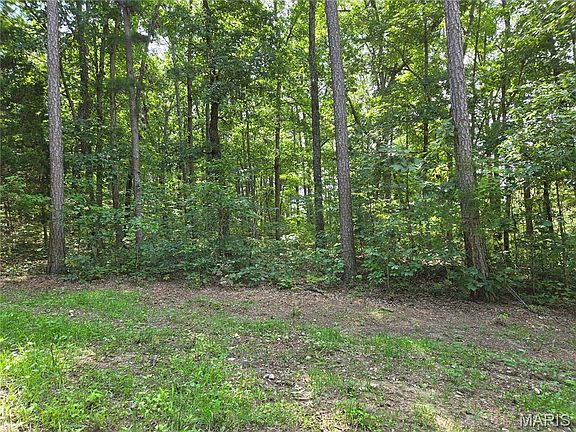 5th image of 0 Ridgely Rd