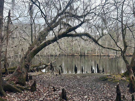 3rd image of 0 Lake St