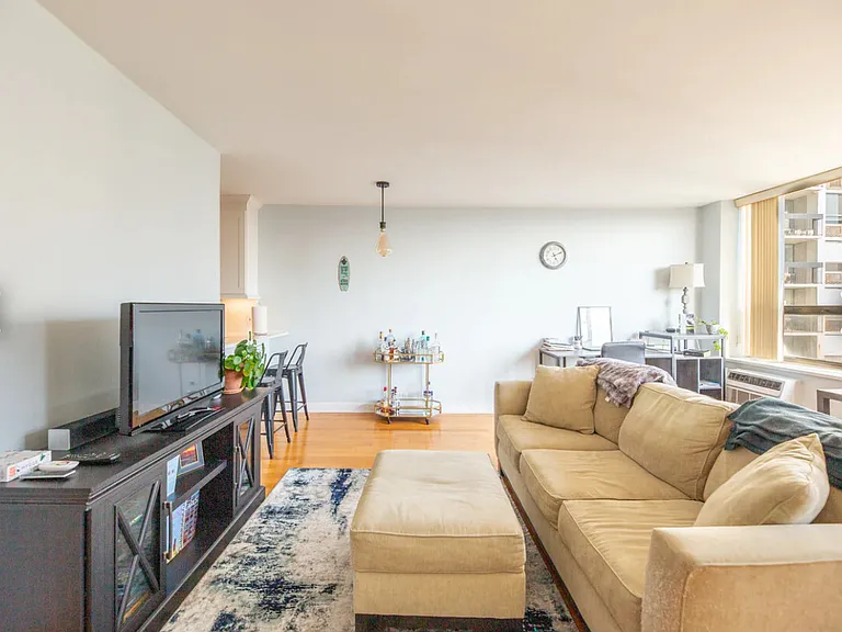 1460 N Sandburg Ter #1503A — Photo 8