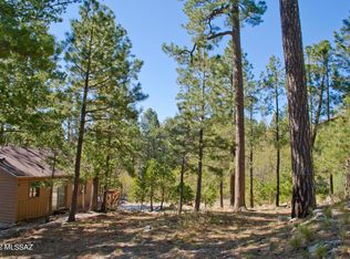 11240 E Globe St #2, Mt. Lemmon, AZ 85619