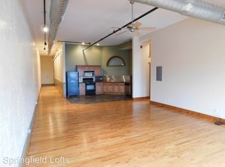 210 E Walnut St APT 401, Springfield, MO 65806