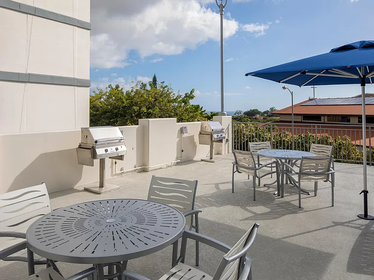 BBQ grills & picnic area