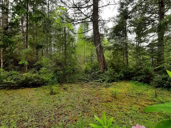 0 W Go Onna Drive, Quilcene, WA 98376
