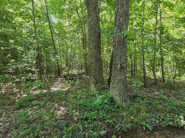 0 Bray Rd, Mc Arthur, OH 45651