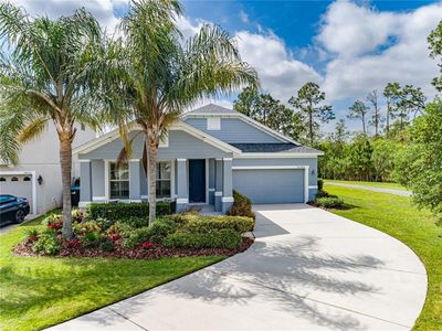 14545 Yellow Butterfly Rd, Windermere, FL, 34786