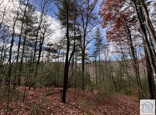 0 Hatchers Chapel Rd, Stuart, VA 24171