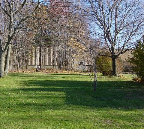 side  yard