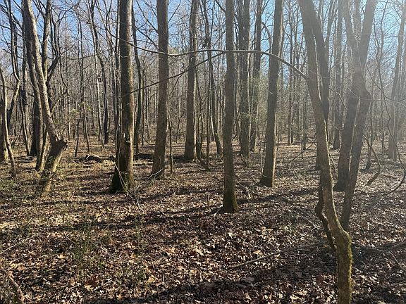 Photo Jan 12 2026 12 08 54 Pm