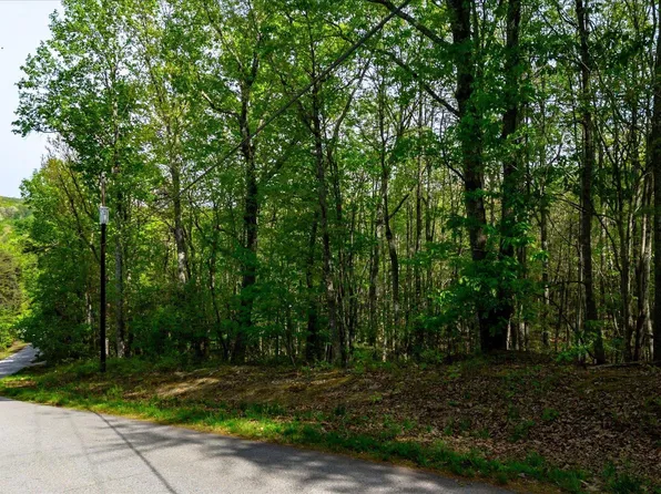 0 Packs Mountain Ridge Rd, Taylors, SC 29687