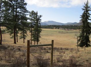 751 Lions Head Ranch Rd, Pine, CO 80470