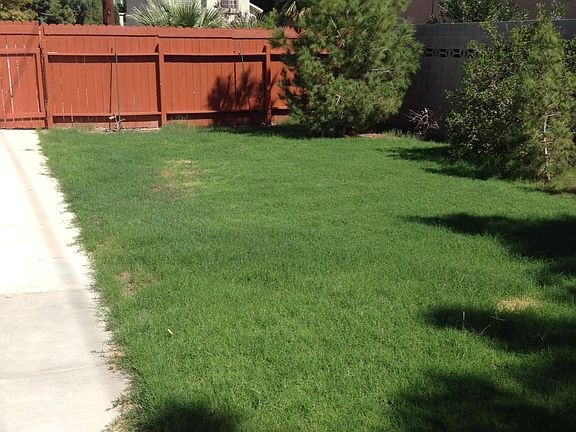 Side Yard