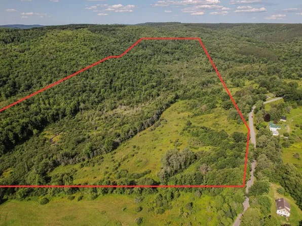 L4 Clapper Hollow Rd, Jefferson, NY 12093