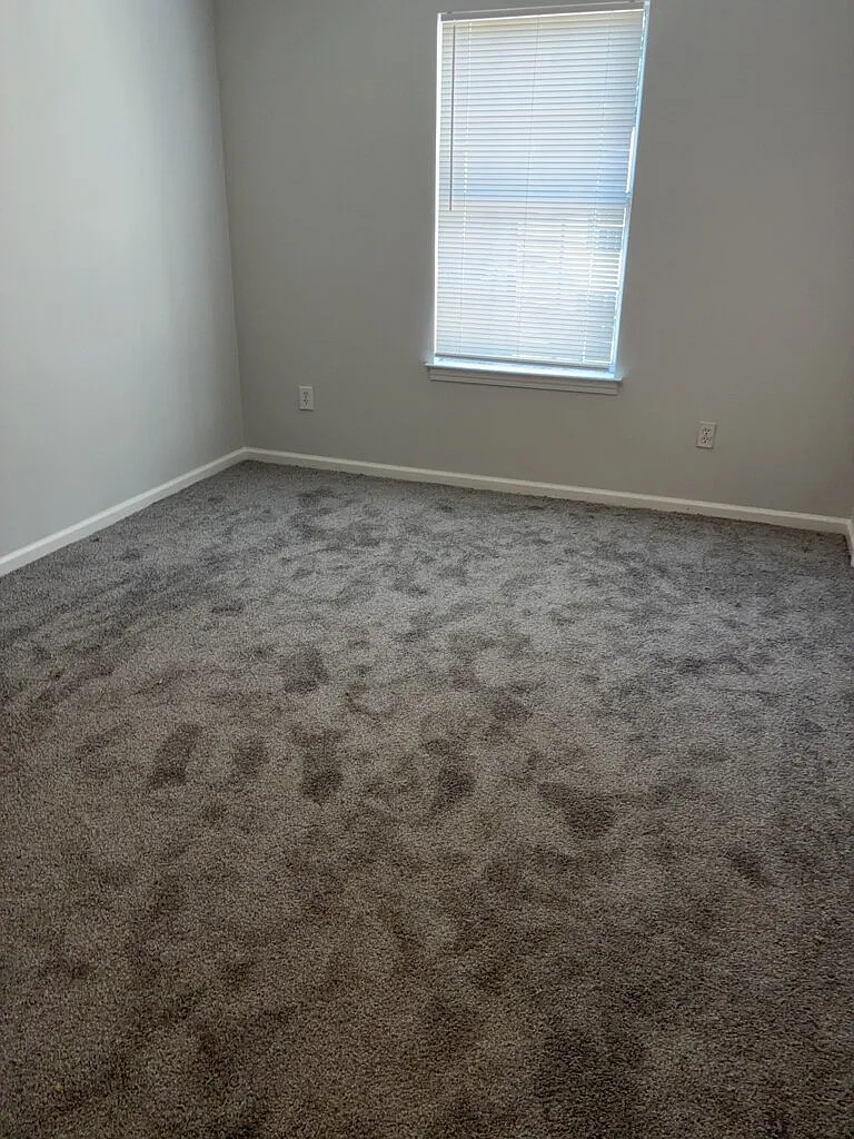 2 bed, 1.5 bath, $1,000 — Photo 4