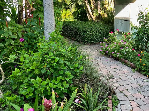 Courtyard and Mailboxes