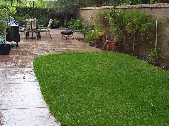 Sideyard w/grass 