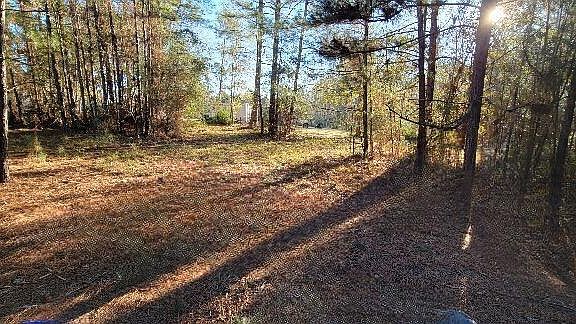 2nd image of 1325 County Road 2650