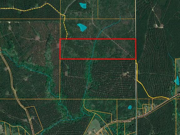2nd image of 47 Mose Hilliard Rd
