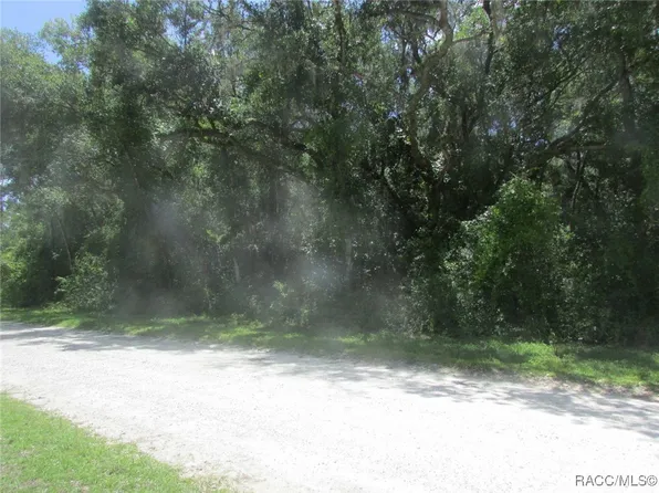 2732 S Suellen Ter, Inverness, FL 34450