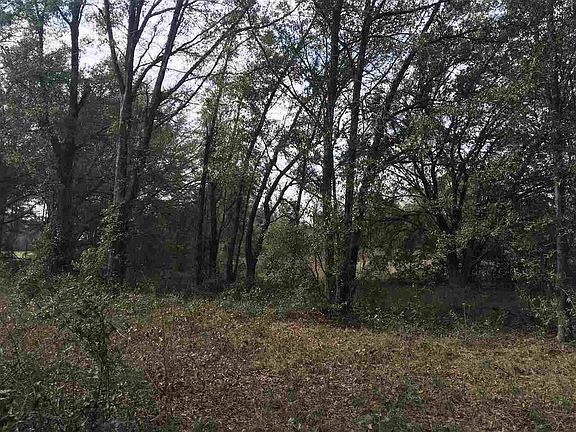 2nd image of 9608 NW 202nd St