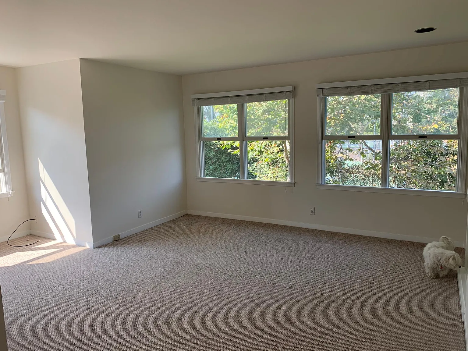312 Centre Ct — Photo 3