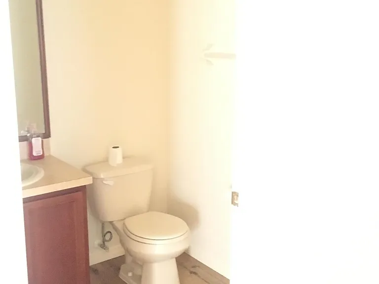 4459 Cherry Branch Ct — Photo 6