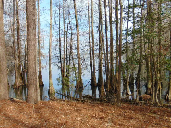 4 Parklin Ln, Elloree, SC 29047